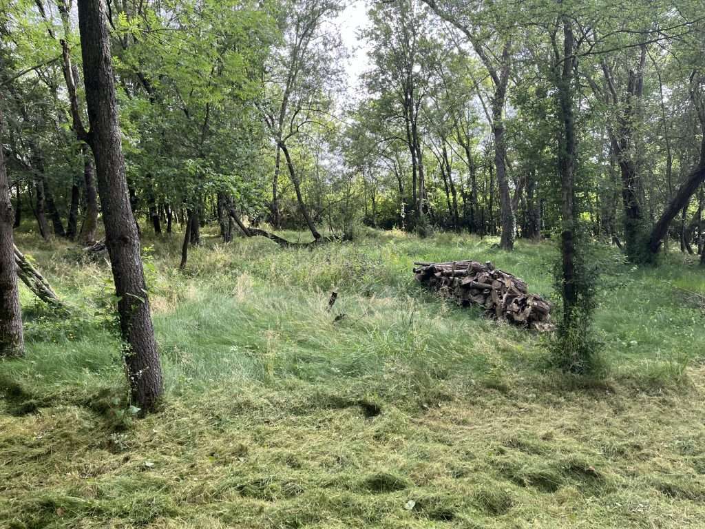 Entretien d'un espace vert avec coupe de l'herbe et nettoyage des zones boisées, réalisé par Occitanie Espaces Verts.