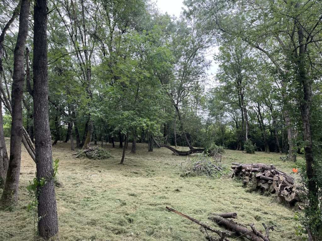 Entretien d'un espace naturel avec coupe de l'herbe et gestion des déchets végétaux, effectué par Occitanie Espaces Verts.