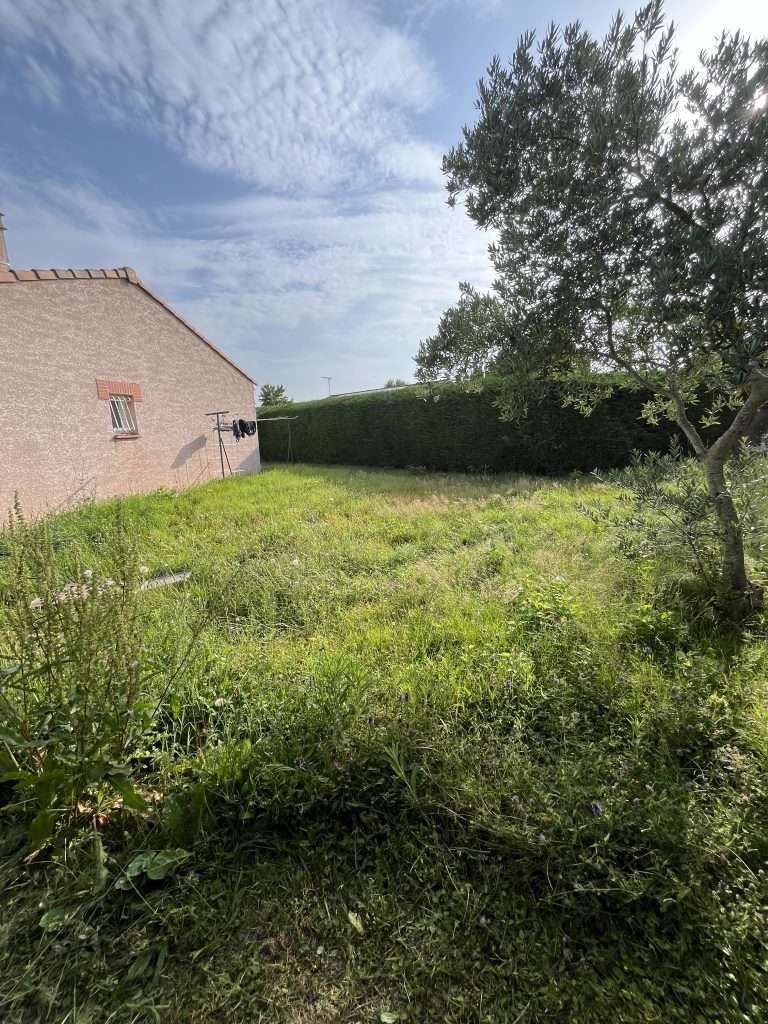 Avant de la tonte de gazon et taille de haie, entretien du jardin à Frouzins réalisé par Occitanie Espaces Verts.
