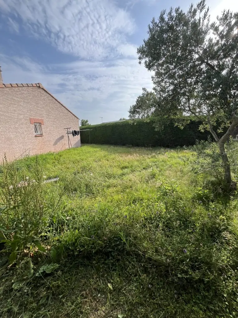 Avant de la tonte de gazon et taille de haie, entretien du jardin à Frouzins réalisé par Occitanie Espaces Verts.