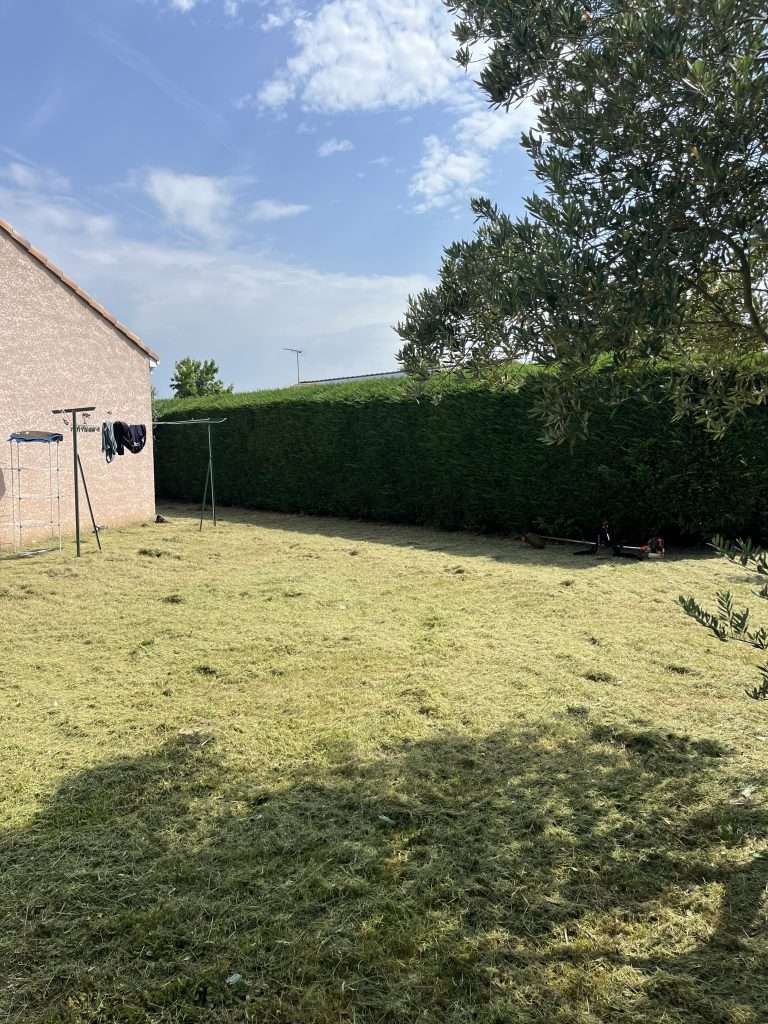 Jardin tondu à Frouzins, haie taillée et espace extérieur entretenu par Occitanie Espaces Verts.